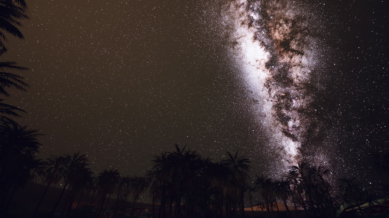 Starry night sky against with coconut palm trees
