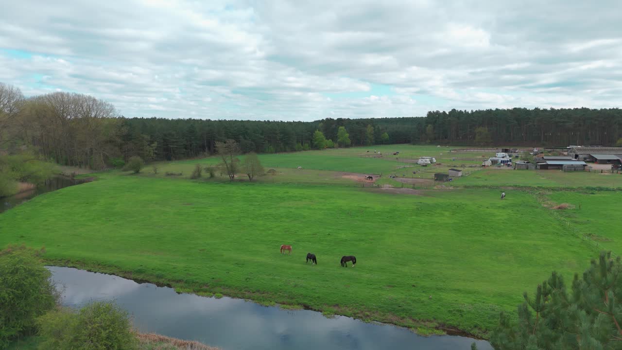 Lush green fields with grazing horses at Little Lodge Farm, peaceful countryside view