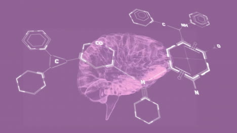 animation of scientific data processing over human brain