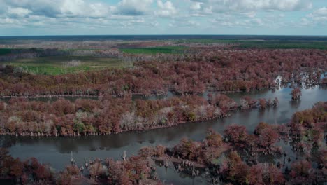 aerial showing diverse landscapes from swamps, lakes, forests to farm land in florida