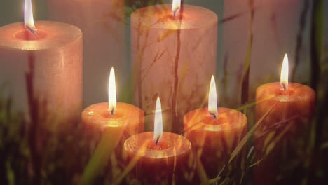 animación de velas encendidas sobre el prado y la hierba