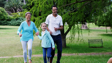 Family-playing-football-in-the-park