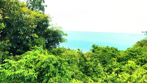 Overlooking-a-Tree-Line-with-Turquoise-Ocean-in-the-Background-on-the-Island-of-Koh-Samui,-Thailand