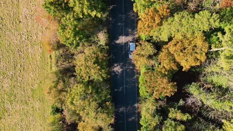 birds-eye view of a country road with colourful autumn trees non each side