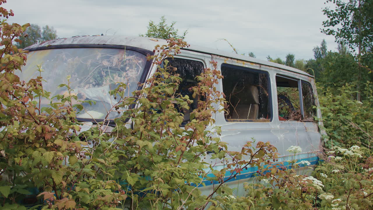 Rusty, neglected van overtaken by wild bushes and vegetation, blending into nature.