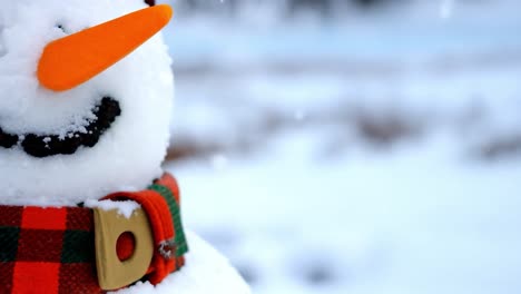 primer plano de un hombre de nieve sonriente