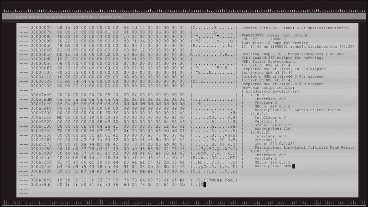 animación del procesamiento de datos en la pantalla gris de la computadora