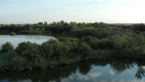 Aerial-shot-of-islets-at-Picón-de-los-Conejos-and-reflections-on-the-lake