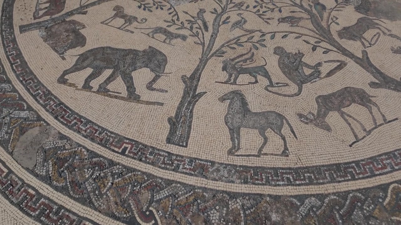 Vista ravvicinata di un antico mosaico romano raffigurante animali presso il sito archeologico di Volubilis in Marocco, patrimonio UNESCO, che evidenzia intricate figure di animali selvatici e un'eccezionale maestria musiva