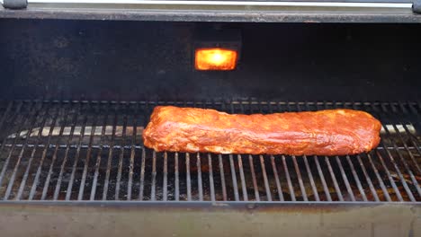 costillas de cerdo en la parrilla