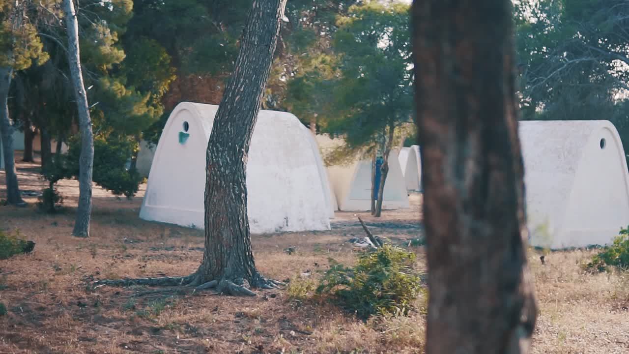 자연 나무 borj cedria 숲