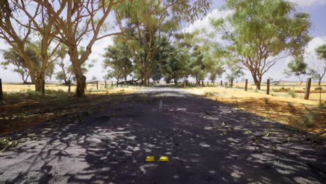Road surrounded by trees in a quiet rural area on a sunny day