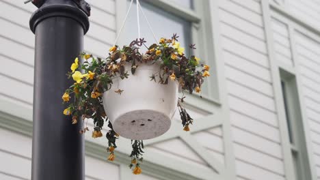 a white hanging flower pot with yellow and white flowers on a street lamp