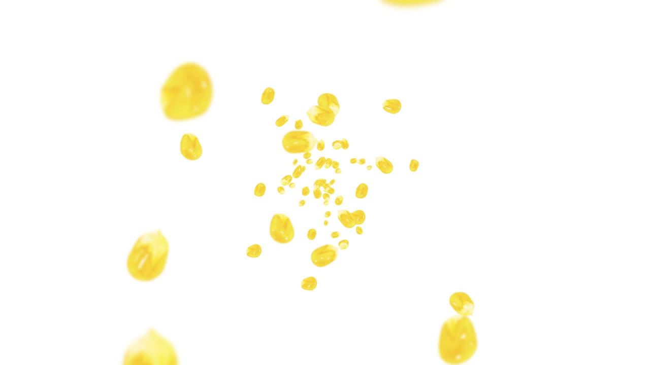 색 배경에 많은 옥수수 어리를 날려. 노란 달한 옥수스 씨. 채식주의자. 건강한 음식. 옥수수가 회전하는 3d 루프 애니메이션.