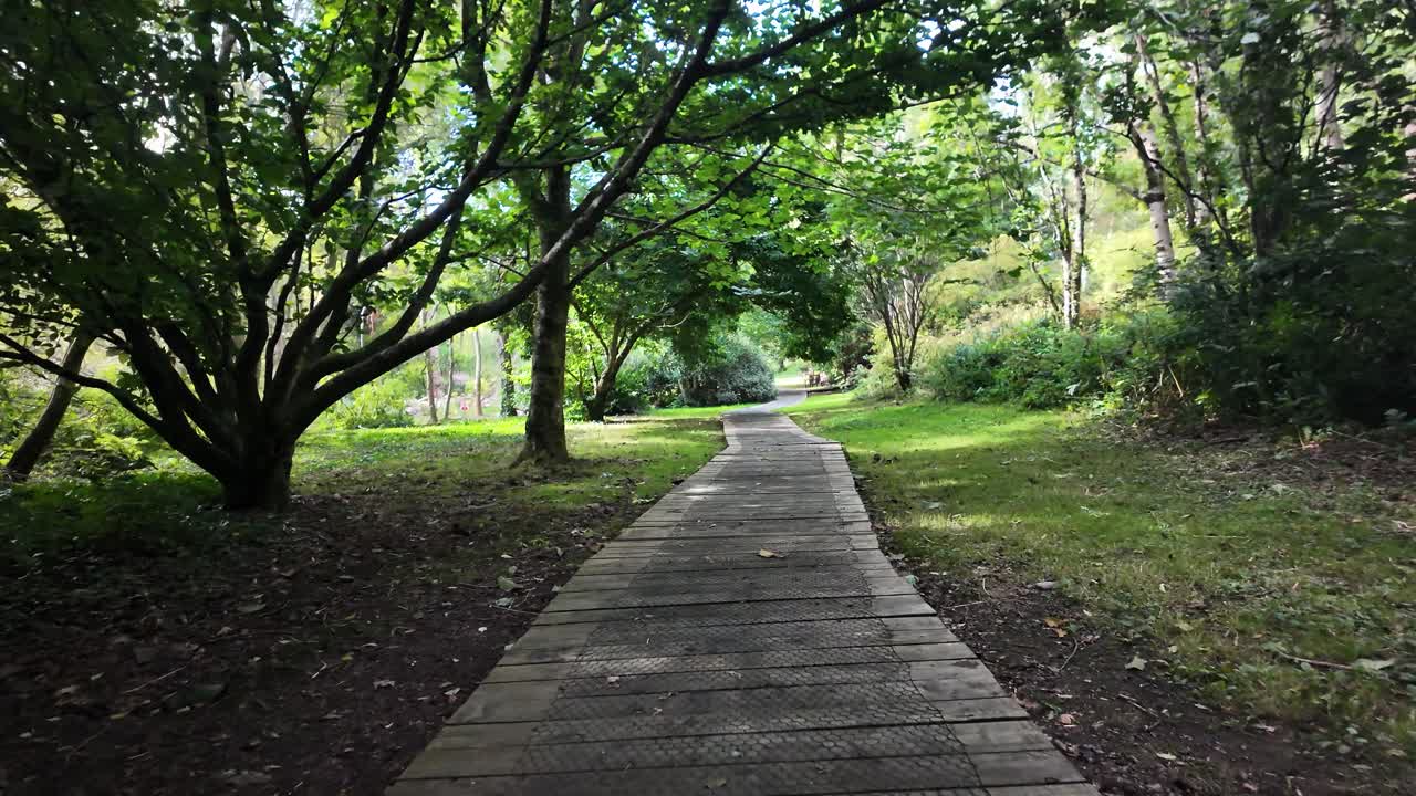 Wooden walkway winding through a lush green arboretum park on the Isle of Man