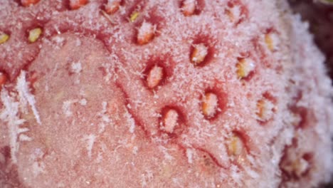 extreme closeup of fresh frozen strawberries, rotation 360 degrees, close-up