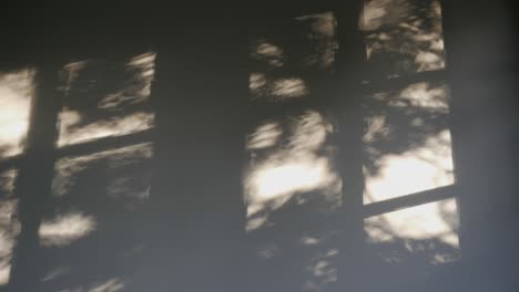 Shadow-on-wall-of-window-and-swaying-tree-in-wind