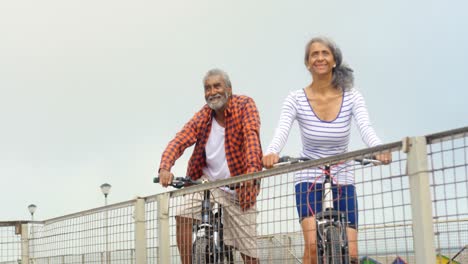 Vista-Frontal-De-Una-Pareja-Afroamericana-Senior-Activa-Y-Reflexiva-Parada-Con-Bicicleta-En-El-Paseo-Marítimo-4k