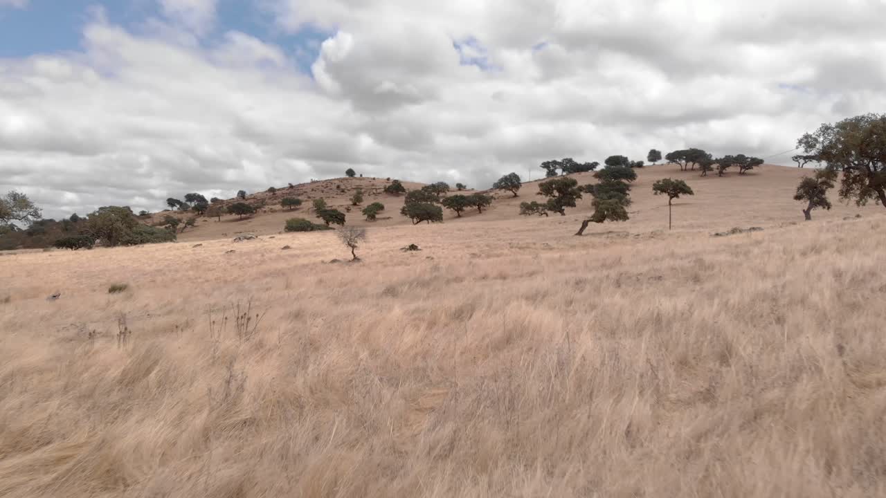 포르투갈 시골 언덕에 있는 초원의 아름다운 풍경, 공중 비행