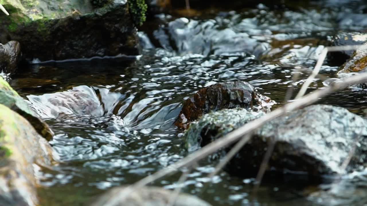 Slow motion shot of water flowing over some rocks in a small stream