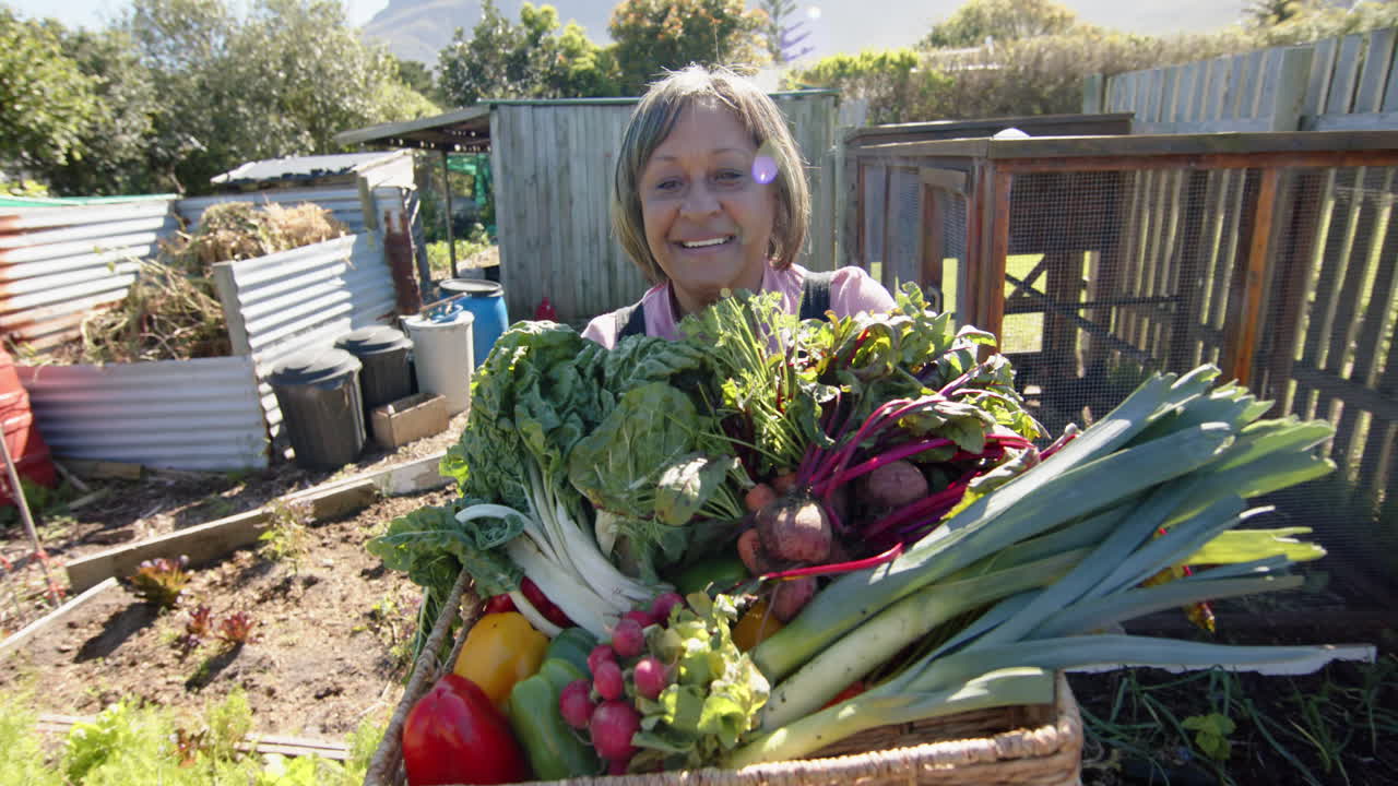 mujer biracial mayor feliz sosteniendo una canasta con verduras en un jardín soleado, cámara lenta