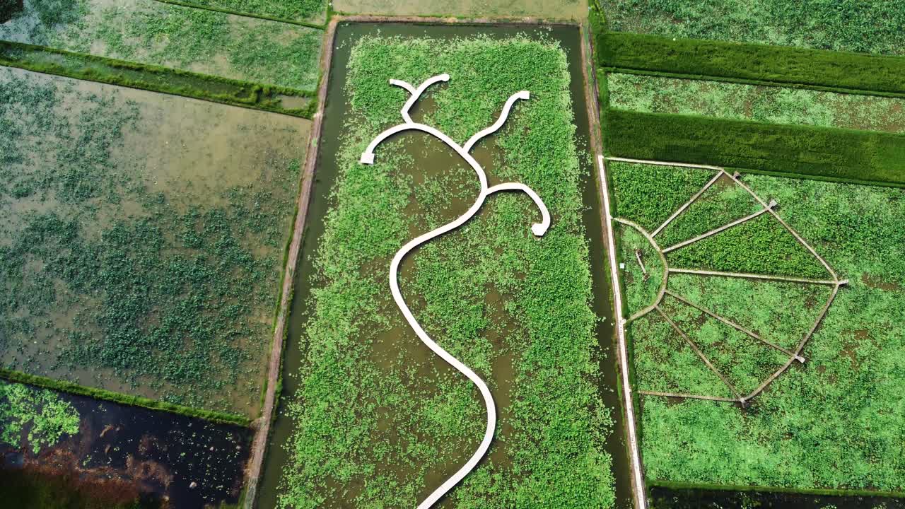 hermoso ornamento en un campo de arroz acuoso filmado de arriba hacia abajo con un avión no tripulado en ninh binh, vietnam
