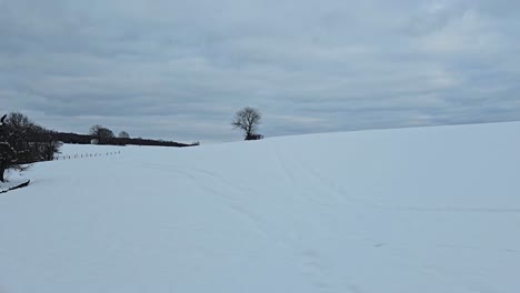 tranquil snow-covered nature scene – beautiful winter landscape