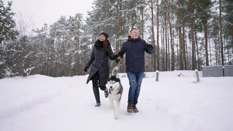 Estilo-Pareja-Joven-Divirtiéndose-En-El-Parque-De-Invierno-Cerca-Del-Lago-Con-Su-Amigo-Perro-Husky-En-Un-Día-Brillante-Abrazándose-Y-Sonriendo