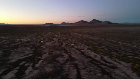 herd of mustangs on their winter range in the high desert landscape - aerial view at sunset