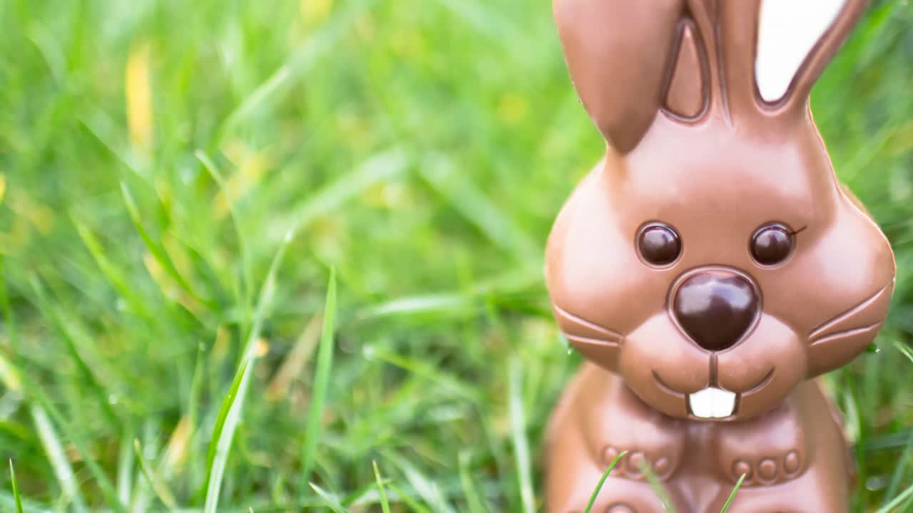 animación del conejo de pascua de chocolate en el fondo de hierba