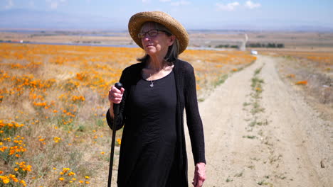 Una-Anciana-Feliz-Con-El-Pelo-Gris-Caminando-Por-Un-Camino-De-Tierra-Caliente-En-Un-Campo-De-Flores-De-Verano-Con-Un-Bastón-A-Cámara-Lenta