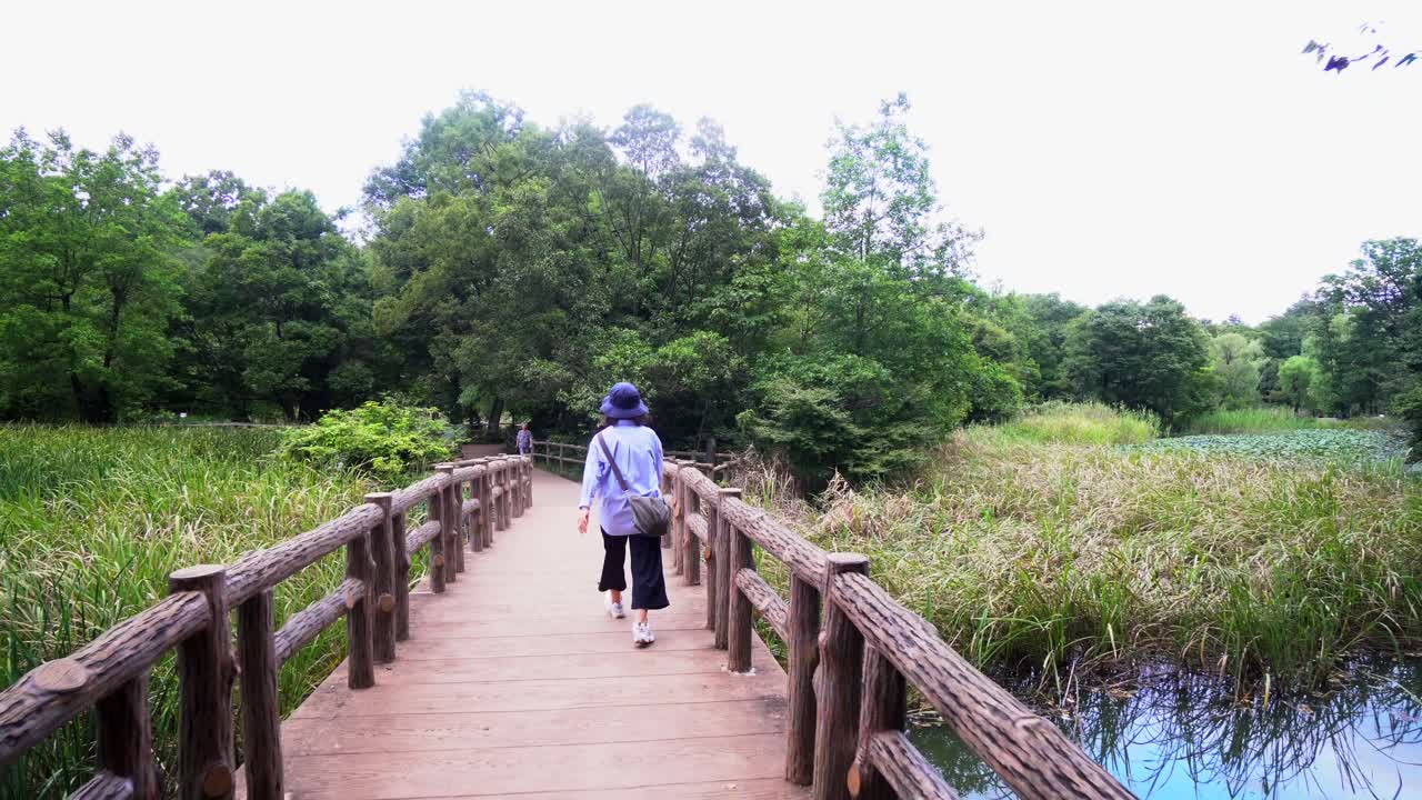 한 일본 여성이 여름 저녁 도쿄의 샤쿠지이 공원에 있는 작은 다리를 건너고 있다