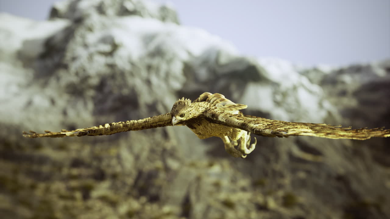 Majestic hawk soaring over rugged mountain landscape during daylight