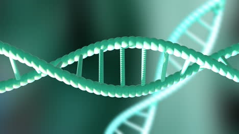 animazione di fili di dna che girano con spazio di copia su sfondo verde