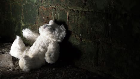 child's teddy bear discarded in old building basement medium zoom out shot