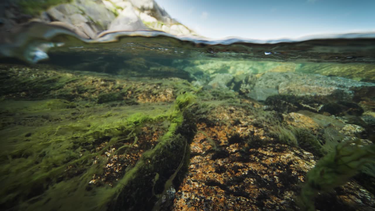 Ripresa sopra e sotto il livello dell'acqua del fiume poco profondo-7