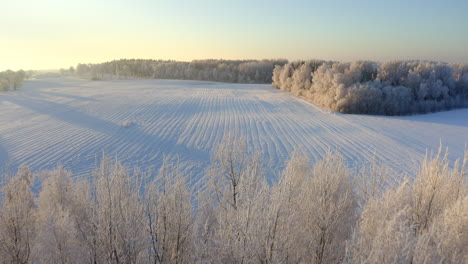 Fliegen-Auf-Ein-Schneebedecktes-Feld-Zu,-Das-Mit-Reifenspuren-Bedeckt-Ist