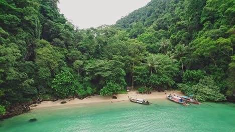 Aerial-Top-Down-View-at-Kian-Bay-Cove-Surrounded-by-Green-Lush-Trees-on-a-Tropical-Island-Koh-Yao-Noi-in-Thailand