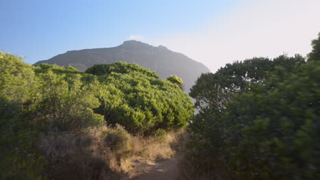 sendero de playa bahía de arena paseo costero