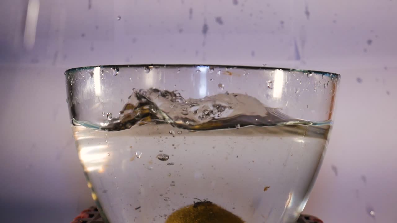 키위는 슬로우 모션으로 흰색 배경 앞에서 물 한 그릇에 빠집니다.