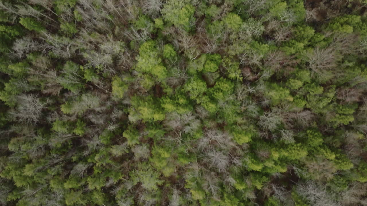 Aerial view of New Hampshire's White Mountain Wilderness. Shot on a spring day