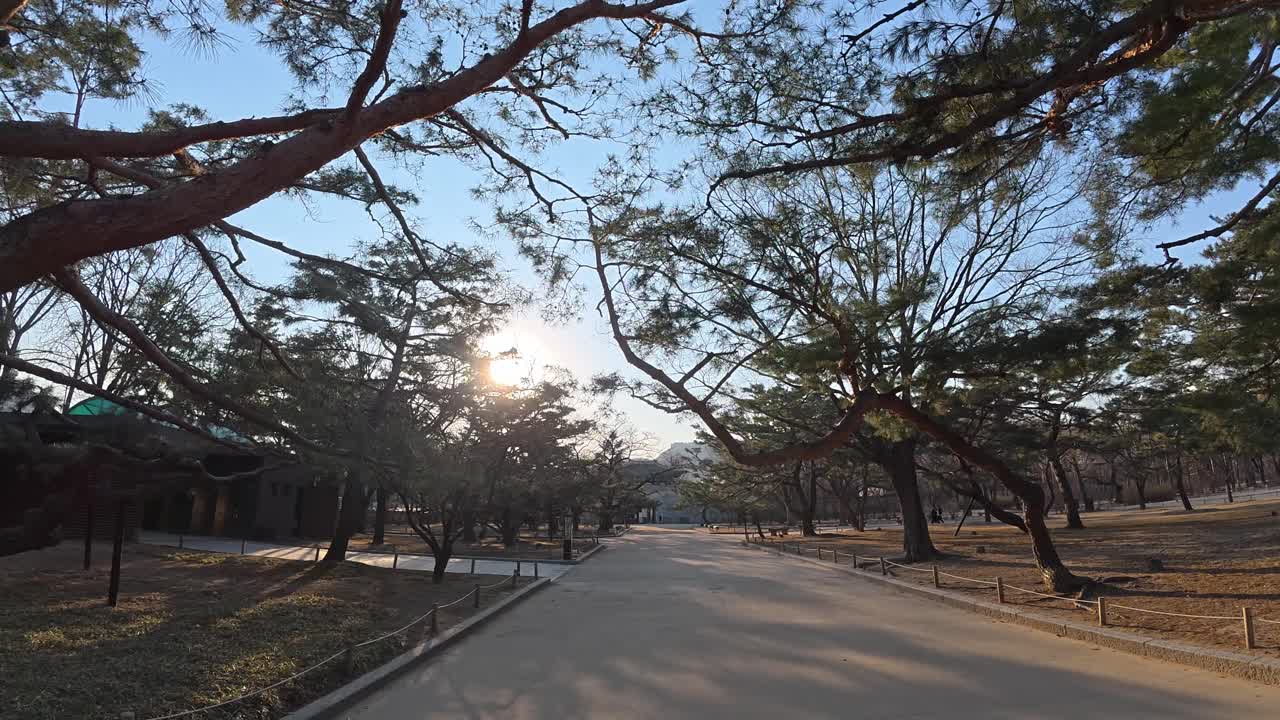 Gardens Around Gyeongbokgung Palace In Seoul, South Korea - POV