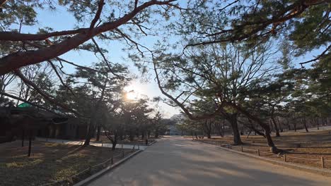 gardens around gyeongbokgung palace in seoul, south korea - pov