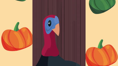 feliz animación de acción de gracias con pavo y calabazas