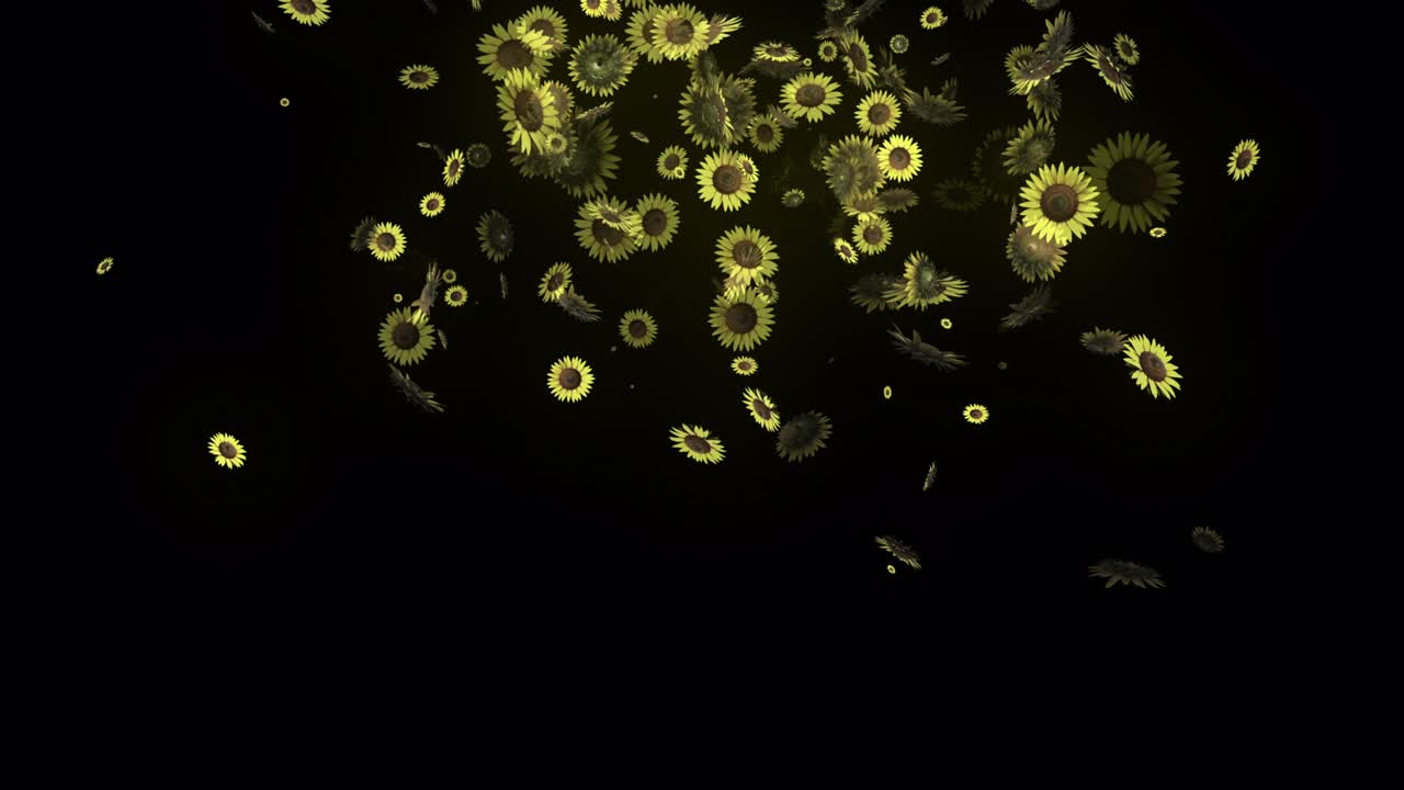 해바라기 여름 꽃 애니메이션