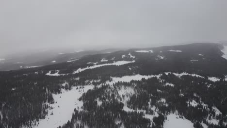 Winter-Blizzard-in-the-forest