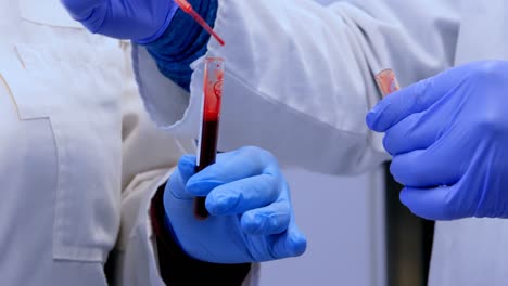 Laboratory-technicians-analyzing-blood-samples-4k