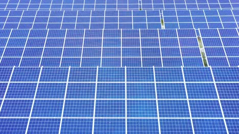 closeup of surface of blue photovoltaic solar panels for producing clean ecological electricity