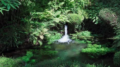 El-Agua-Dulce-Fluye-Hacia-Un-Estanque-Rodeado-De-Plantas-Verdes-En-Meran,-Tirol-Del-Sur.