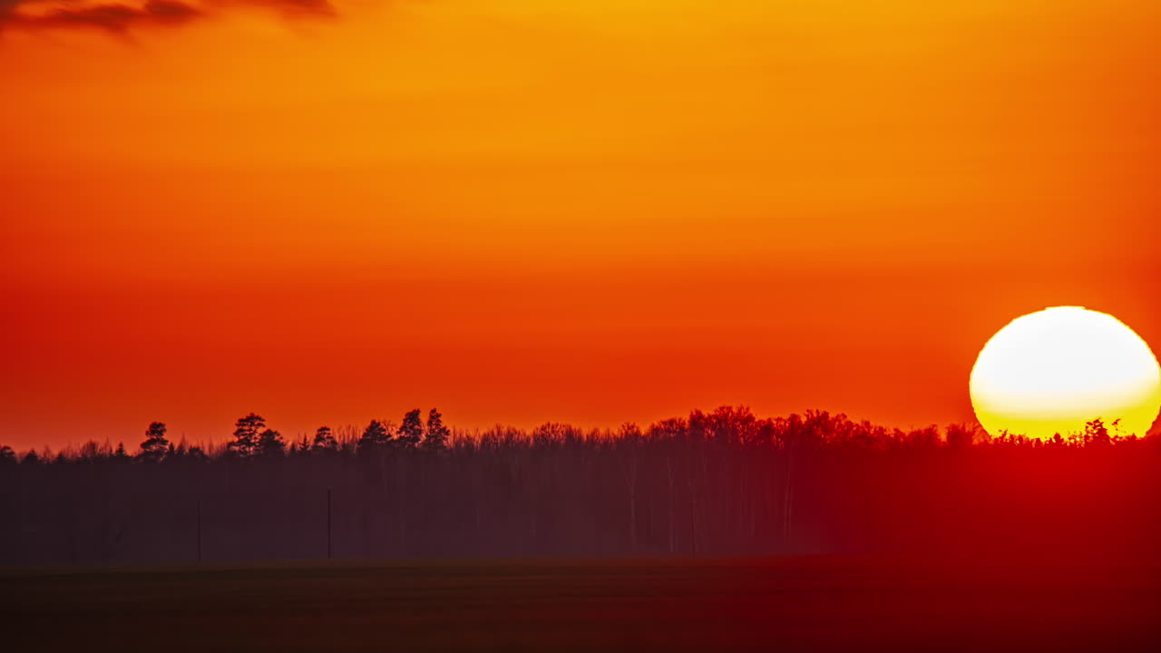 큰 태양이 빨간 하늘을 가로질러 지평선에 있는 숲으로 떨어집니다.